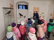 Výlet Dobrovice  Ptačí svět